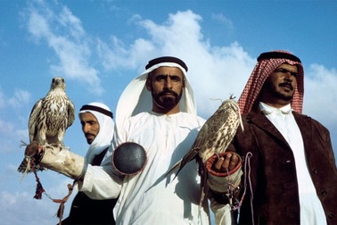 Mua vé máy bay cho... 80 con chim ưng và thú vui xa xỉ của đại gia Ả rập