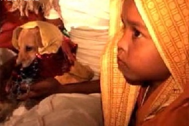 Cưới chạy với… chó để đuổi ma