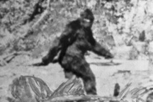 AI vén màn bí mật về "quái vật" Bigfoot