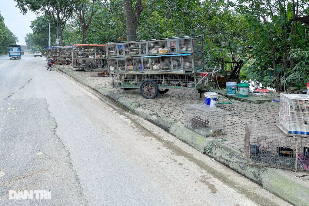 Nghĩa địa tận diệt chim trời Hà Nội: Vấn nạn nhiều năm nhưng khó ngăn chặn? - 1 Nghĩa địa tận diệt chim trời Hà Nội: Vấn nạn nhiều năm nhưng khó ngăn chặn? - 1