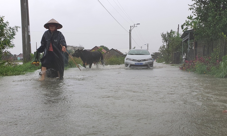 Phú Yên mưa lớn, lũ lên nhanh, dân vội vàng đi sơ tán - 8 Phú Yên mưa lớn, lũ lên nhanh, dân vội vàng đi sơ tán - 8