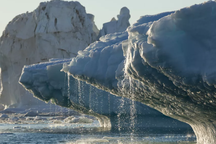 "Vùng băng cuối cùng" của Bắc Cực đối mặt với nguy cơ biến mất