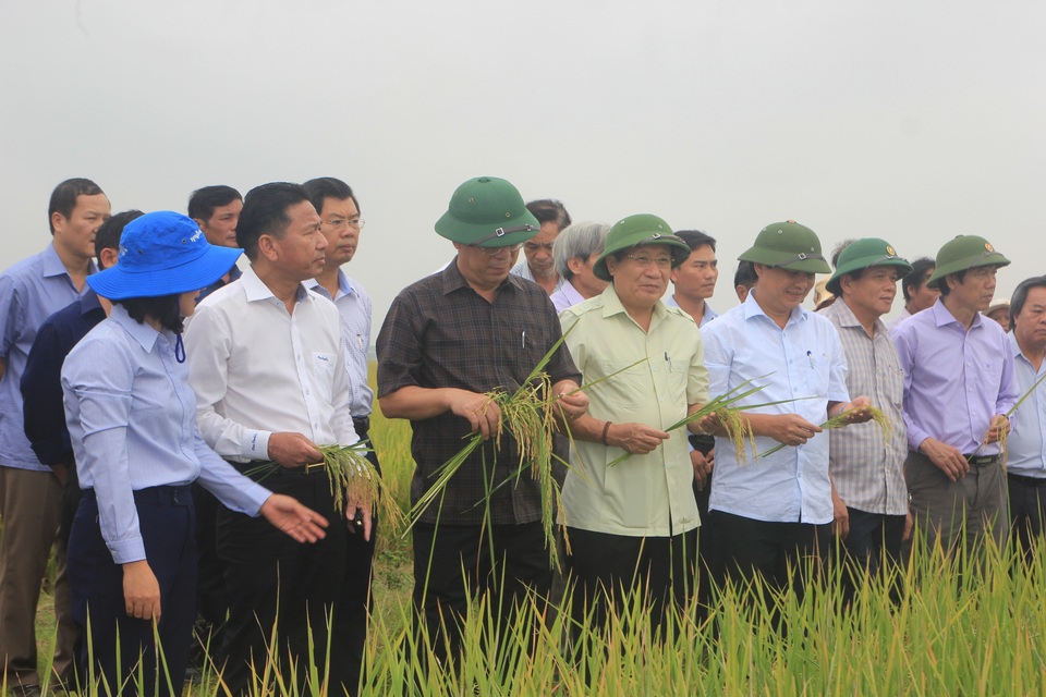 Bàn giao nhiệm vụ Chủ tịch UBND tỉnh Quảng Trị cho ông Hà Sỹ Đồng - 1 Bàn giao nhiệm vụ Chủ tịch UBND tỉnh Quảng Trị cho ông Hà Sỹ Đồng - 1