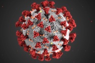 Australia thất lạc 323 ống virus nguy hiểm: Có đáng lo ngại ở Việt Nam?