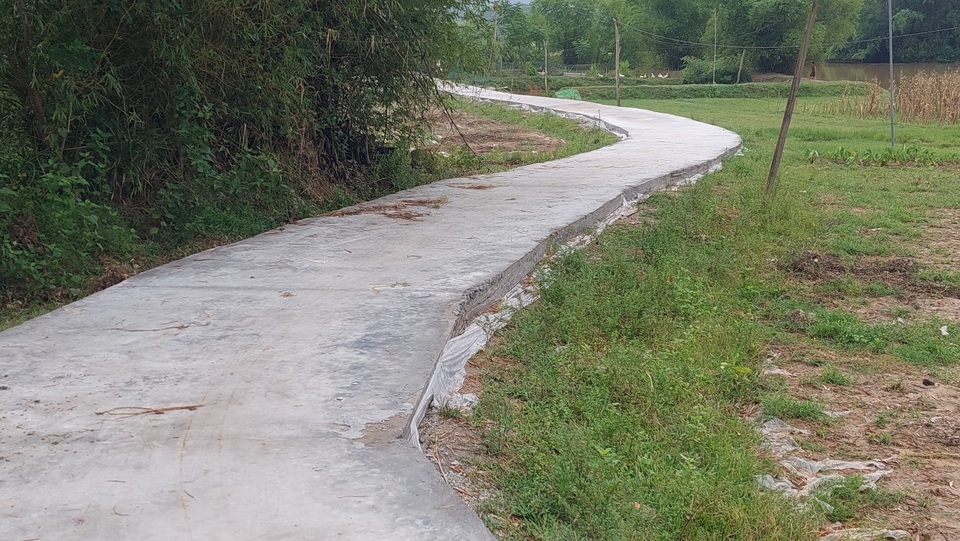 Khi nông dân nghèo bán bò, góp tiền làm đường nông thôn mới - 1 Khi nông dân nghèo bán bò, góp tiền làm đường nông thôn mới - 1