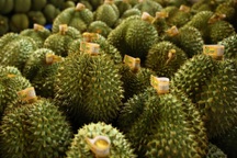 Xuất khẩu rau quả Việt Nam đạt kỷ lục 6,66 tỷ USD