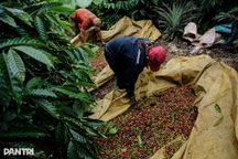 Hàng Việt Nam vào Mỹ vượt 126 tỷ USD, cao nhất lịch sử