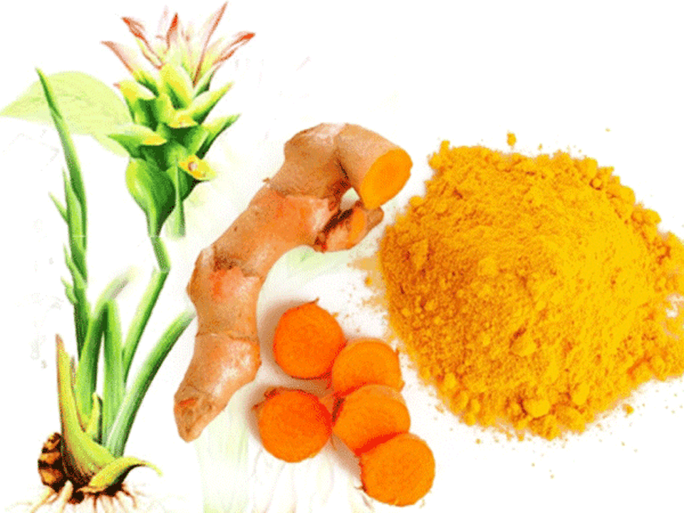 Thực phẩm vàng phòng chống ung thư bạn không nên bỏ qua - 1