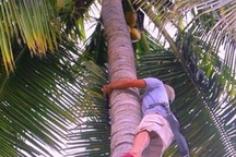 Nghề nguy hiểm: “Ăn cơm dưới đất, kiếm tiền… ở độ cao 20m”