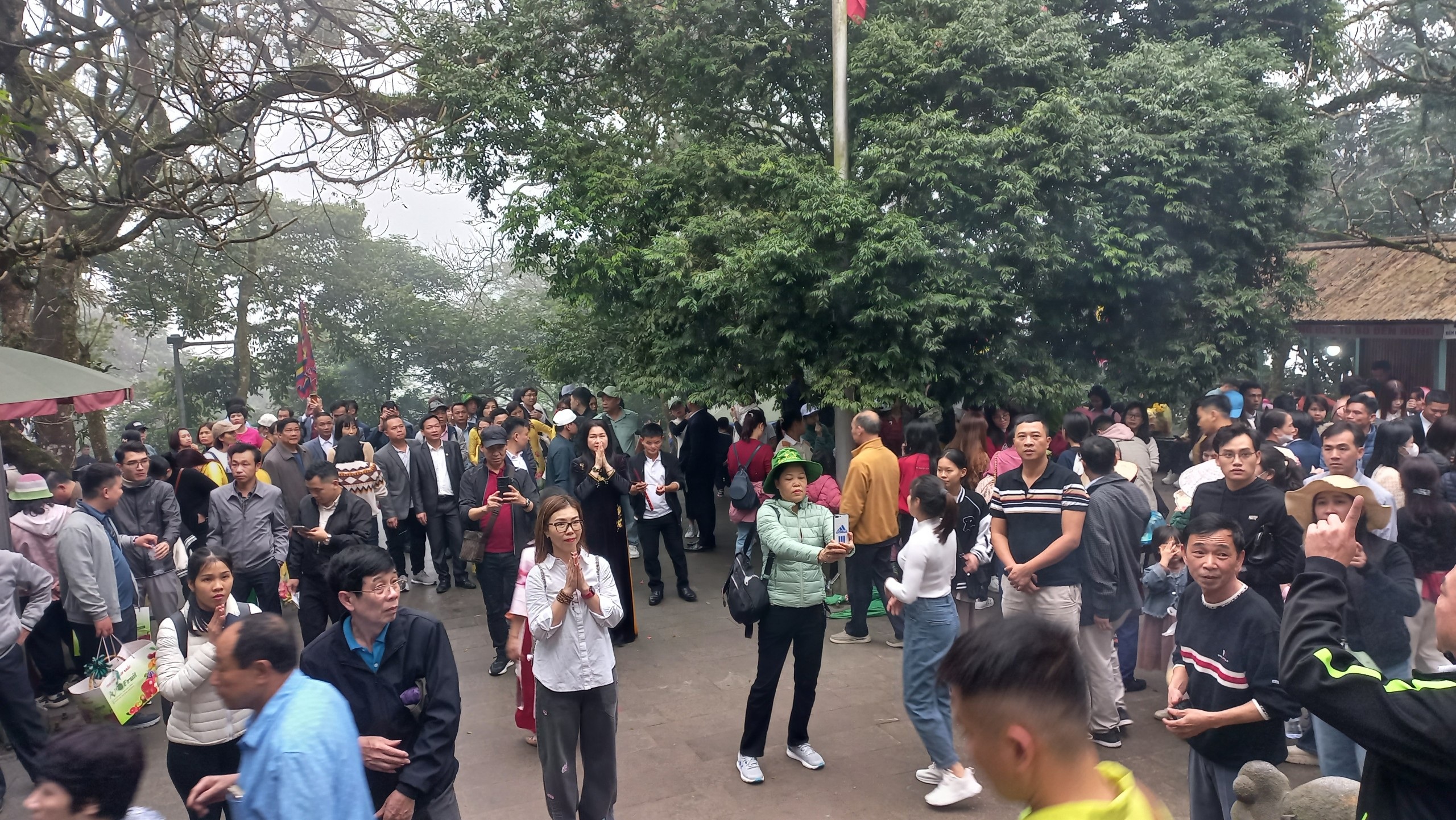 den hung 13.jpg den hung 13.jpg