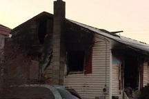 Dùng lửa để giết kiến, chàng trai... thiêu rụi cả căn nhà