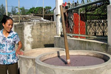 “Nghỉ làm mắm tôm thì lấy gì mà ăn?” 