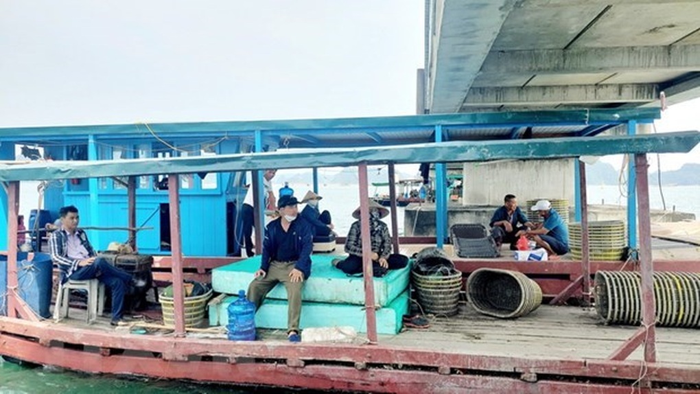 Tạm đình chỉ công tác 4 cán bộ lơ là quản lý trên vịnh Bái Tử Long - 1 Tạm đình chỉ công tác 4 cán bộ lơ là quản lý trên vịnh Bái Tử Long - 1