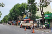 Quảng Ngãi báo cáo Bộ Công an về dự án cây xanh