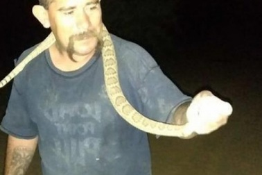 Nướng sống rắn độc trên bếp và cái kết đáng sợ