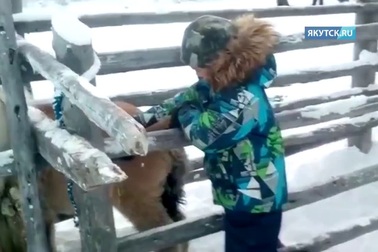 Ngôi làng lạnh nhất hành tinh: Trẻ em vẫn đến trường khi nhiệt độ -50°C