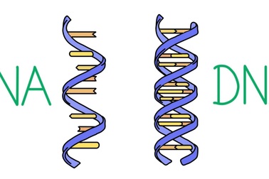 Sự sống trên Trái đất bắt nguồn từ đâu?