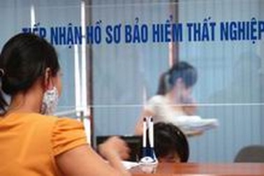 Hồ sơ hưởng trợ cấp thất nghiệp có cần quyết định nghỉ việc không?