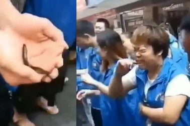 Công ty Trung Quốc bắt nhân viên không đạt chỉ tiêu ăn cá sống, uống máu gà