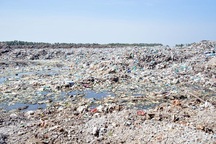 7 năm xử lý rác, phát hiện... 300 xác thai nhi (!)