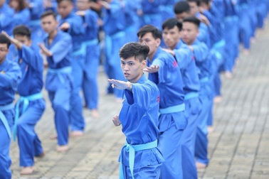 FPT Edu phá vỡ mọi kỷ lục Việt Nam về đồng diễn võ thuật