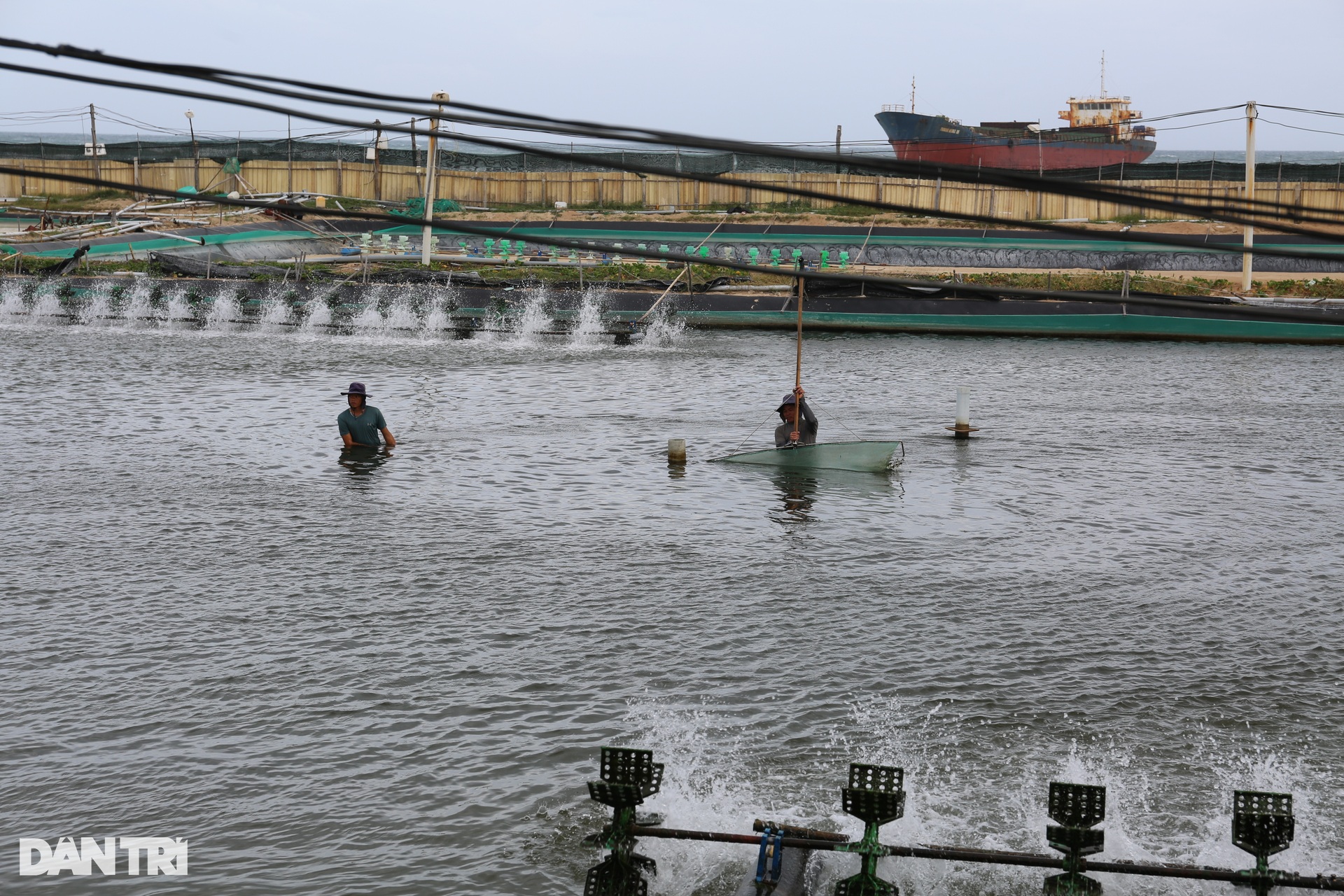 Đời sống người dân ở nơi được quy hoạch làm điện hạt nhân tại Ninh Thuận - 10 Đời sống người dân ở nơi được quy hoạch làm điện hạt nhân tại Ninh Thuận - 10