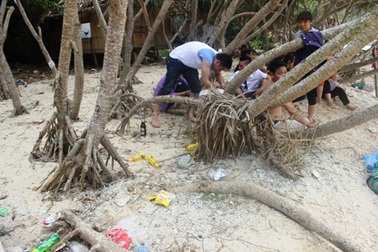 Ngày nghỉ lễ, đảo Khỉ Cát Bà tràn ngập rác