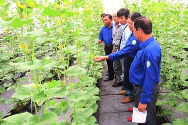 Đào tạo nhân lực cho ngành nông nghiệp công nghệ cao