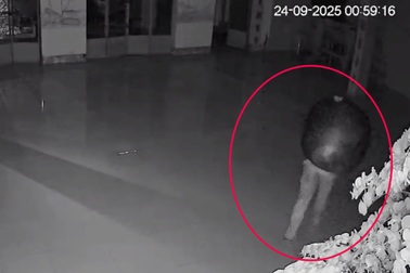 Đột nhập chùa ở Tây Ninh trộm chuông đồng