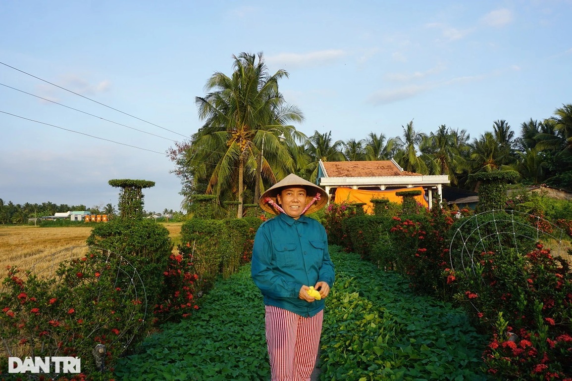 Hàng cây cảnh có một không hai khiến vạn người mê của lão nông miền Tây - 6 Hàng cây cảnh có một không hai khiến vạn người mê của lão nông miền Tây - 6