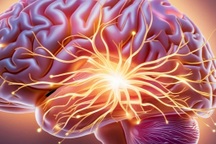 Những hoạt động đặc biệt hiệu quả để giữ bộ não luôn trẻ trung