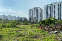 Chốt không đưa mồ mả khu đô thị Thanh Hà về khu đấu giá Lò Gạch