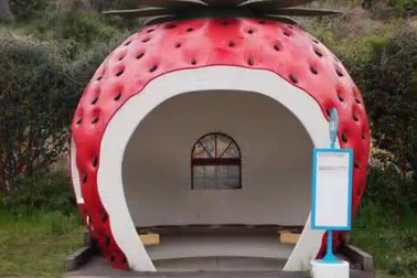 Những trạm xe bus lạ đời nhất thế giới.