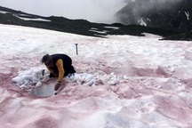 Giải mã bí ẩn hiện tượng "máu sông băng" đáng sợ