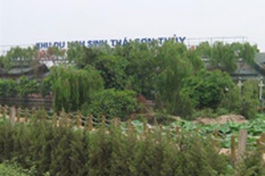 Kịch bản rửa tiền của Trịnh Nguyên Thủy 