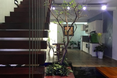 Ảnh dự thi số 14: Giếng trời, cây xanh và đàn cá tung tăng hoà nhịp cuộc sống