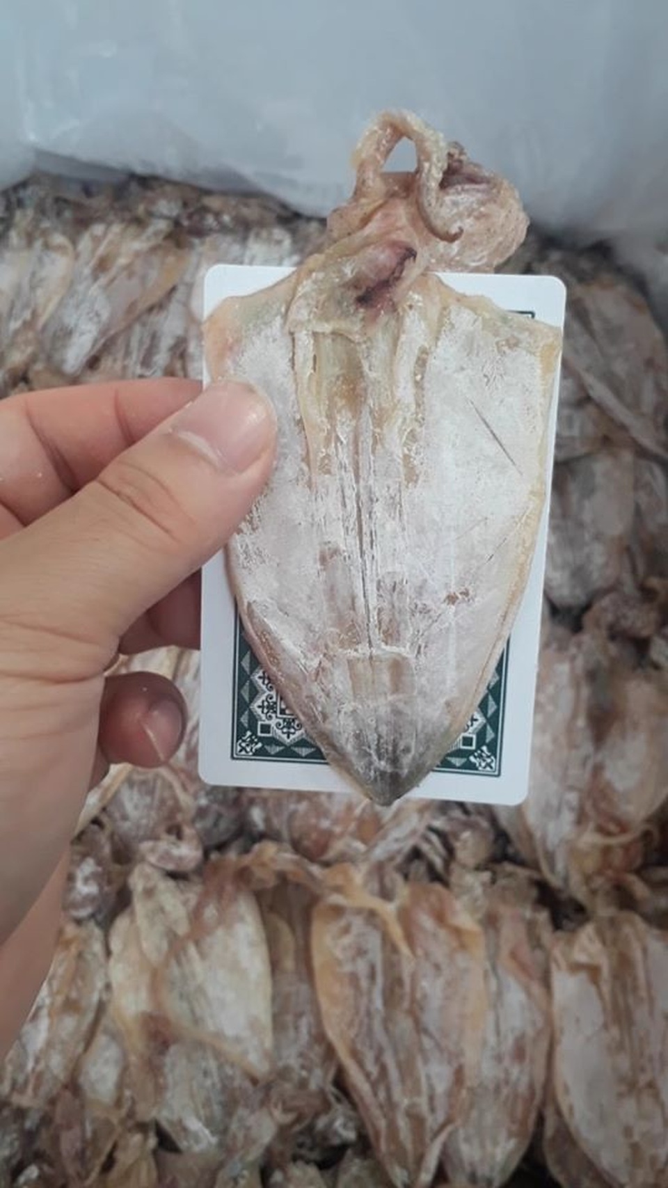 Mực khô siêu rẻ, nhỏ như lá bài, dân nhậu ăn hàng chục con chưa đã - 4 Mực khô siêu rẻ, nhỏ như lá bài, dân nhậu ăn hàng chục con chưa đã - 4