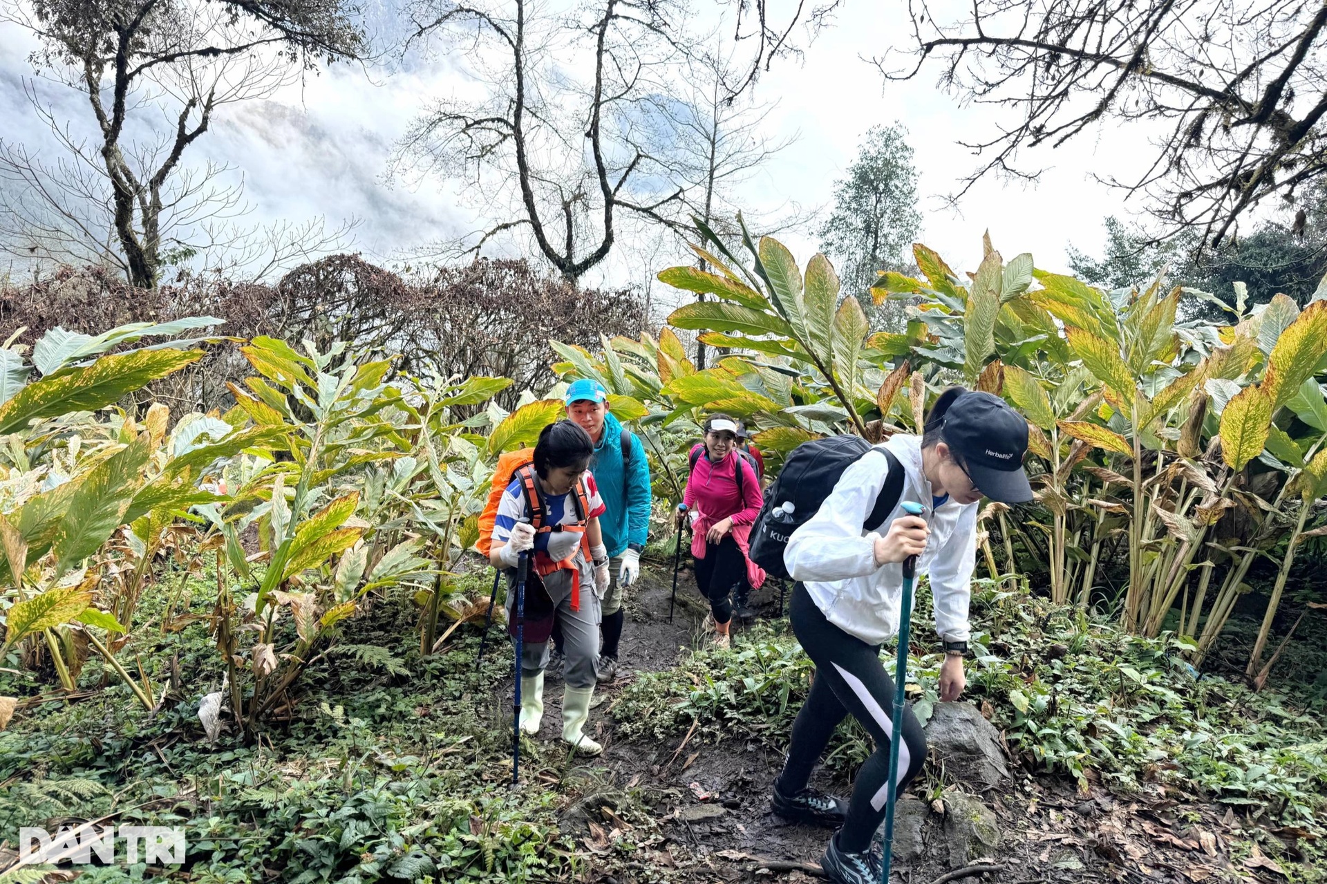 Ngủ đêm trong rừng, dậy từ 3h để săn bình minh ở độ cao gần 3.000m - 8