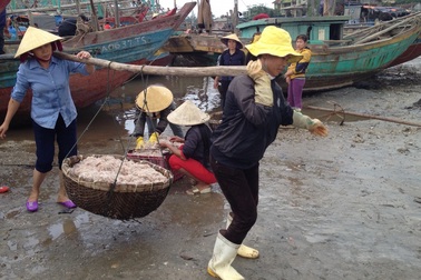 Ngư dân bội thu mùa ruốc đầu năm