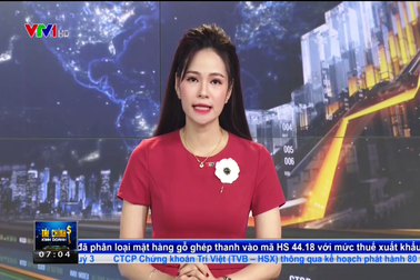 VTV chính thức xin lỗi vì nói những người bán hàng rong là "ký sinh trùng"