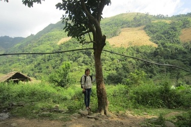 Tìm thấy vườn bưởi của bộ đội Tây Tiến