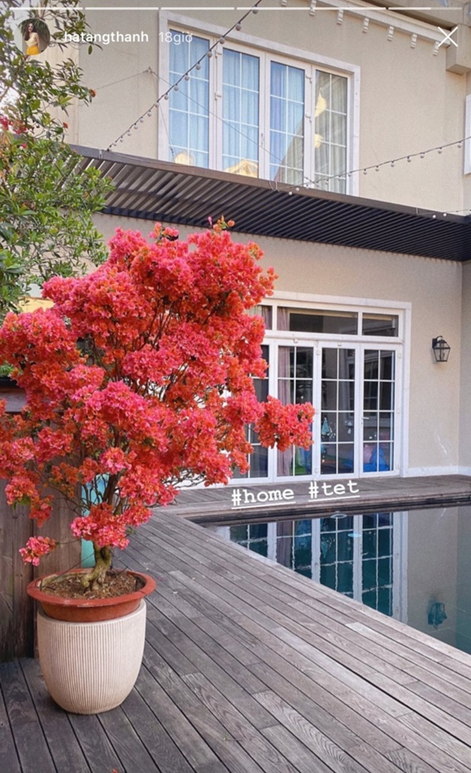 Sao Việt trang hoàng biệt thự, căn hộ rực rỡ đón Tết Canh Tý - 12 Sao Việt trang hoàng biệt thự, căn hộ rực rỡ đón Tết Canh Tý - 12