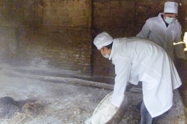 Thanh Hóa: Tiêu hủy gần 10.000 con gia cầm bị bệnh  