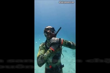 Thợ lặn suýt gặp nguy hiểm khi bị bạch tuộc tấn công