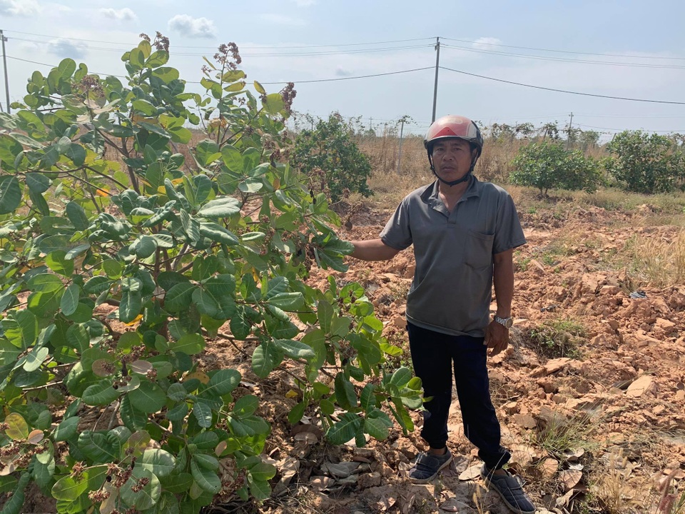 Mời nhà khoa học vào cuộc vụ dân tố mỏ đá gây ảnh hưởng cây trồng - 1 Mời nhà khoa học vào cuộc vụ dân tố mỏ đá gây ảnh hưởng cây trồng - 1
