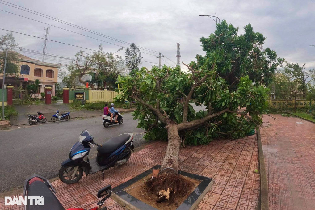 Bão Noru đánh đắm nhiều tàu thuyền ở đảo Lý Sơn - 7 Bão Noru đánh đắm nhiều tàu thuyền ở đảo Lý Sơn - 7
