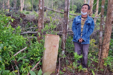 Khởi tố, bắt tạm giam nhóm người phá rừng ở Phú Quốc