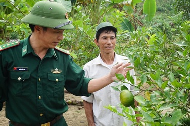 Cựu chiến binh người Thái trồng cam bù bán Tết thu cả trăm triệu đồng
