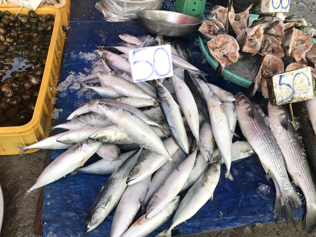 Cá saba nhập khẩu nhiều mức giá khác nhau, có loại gần 350.000 đồng/kg - 1