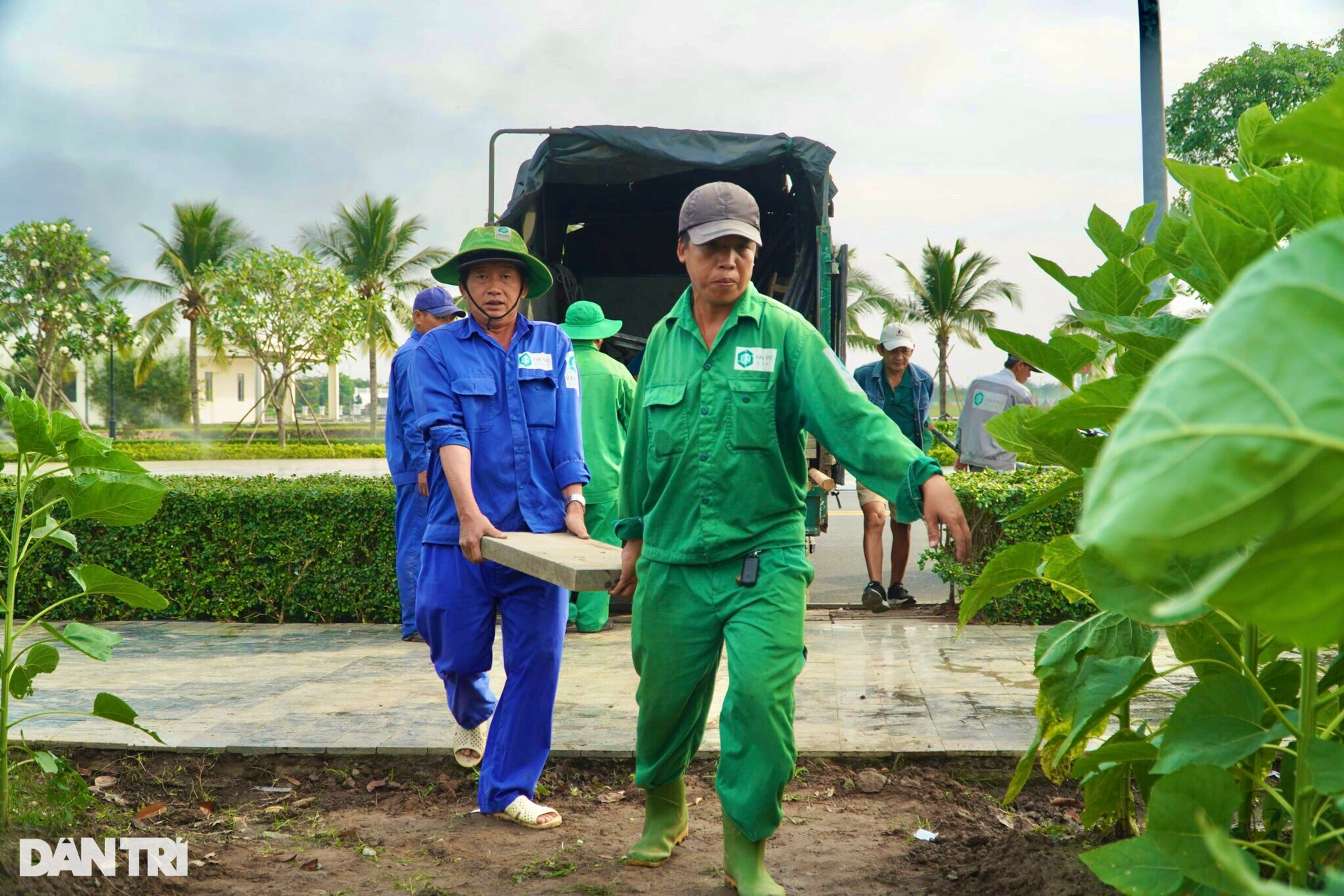 Người dân đổ xô đến check-in vườn hoa hướng dương lớn nhất TPHCM - 10 Người dân đổ xô đến check-in vườn hoa hướng dương lớn nhất TPHCM - 10